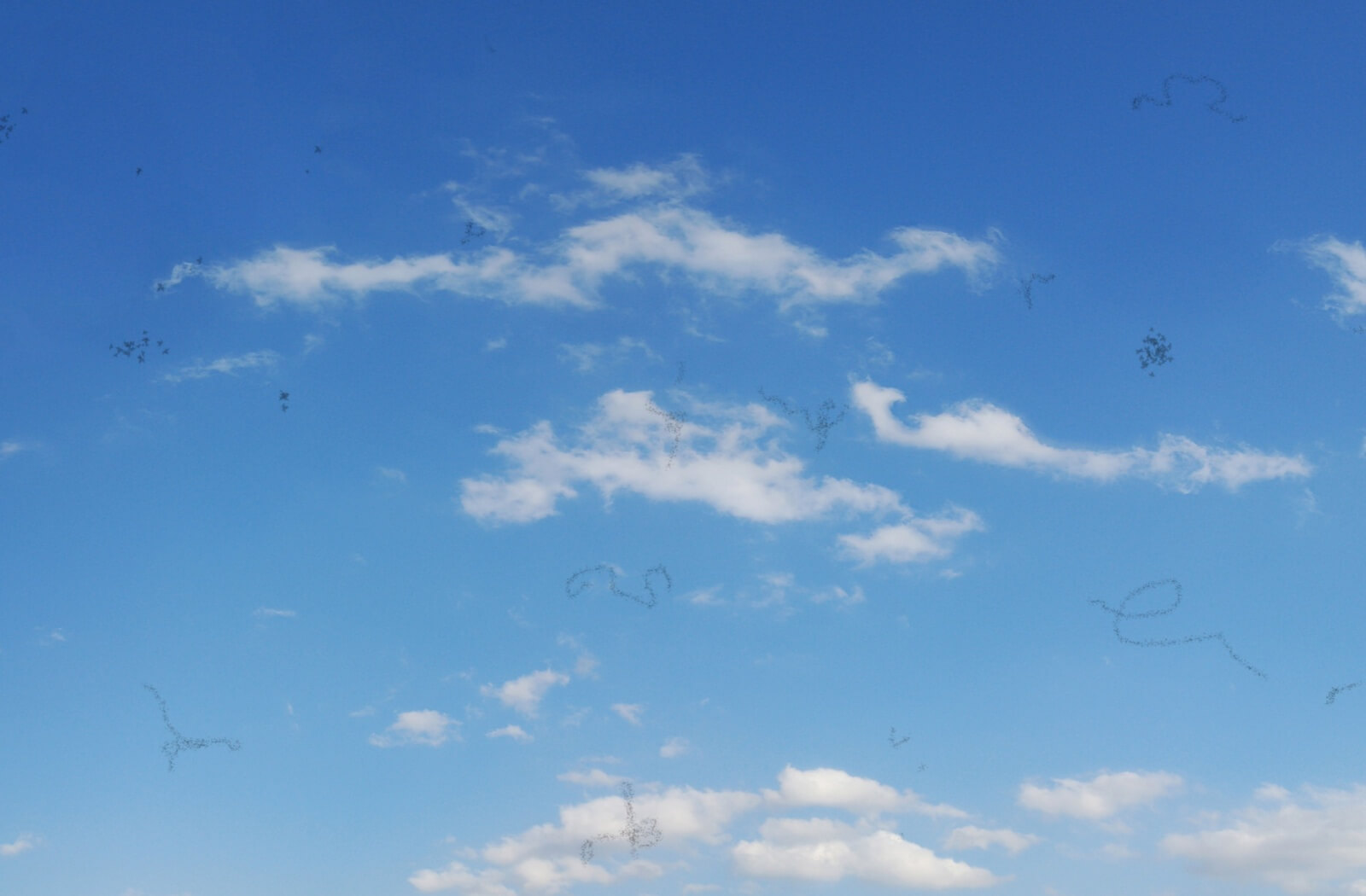
A blue sky with white clouds overlaid with small, dark, thread-like shapes, illustrating how eye floaters appear in a person's field of vision.